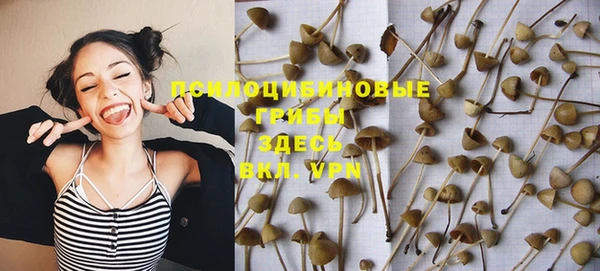 спайс Верея