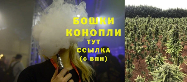 спайс Верея